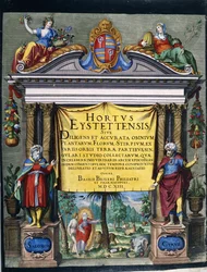 Titre gravé pour le Florilegium "Hortus Eystettensis" par Basilius Besler