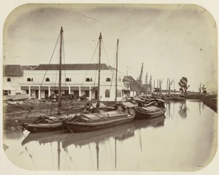Grand arbre au canal du port à Batavia