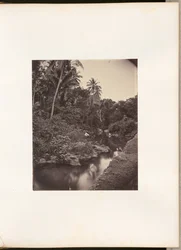 [Rivière à Kupang]