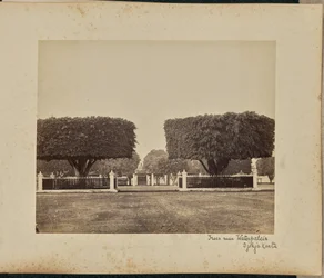 Arbres près de Waterpaleis. Djokjakarta