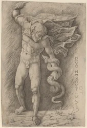 Faune Combattant un Serpent