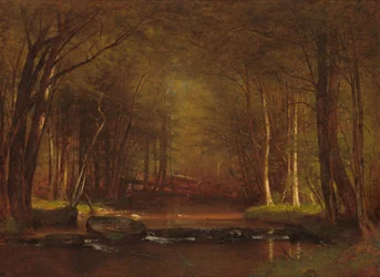Ruisseau à Truites dans les Catskills