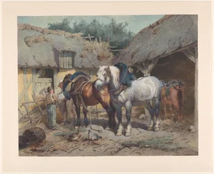 Chevaux près d