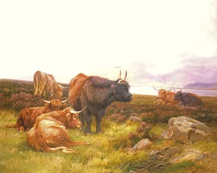 Montagnards près d