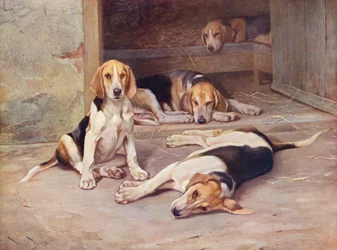 Jours de chiot