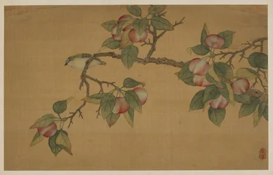 Oiseau et fruit