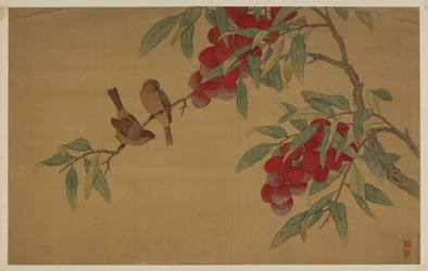 Oiseaux et fruits