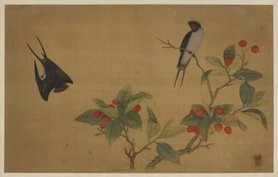 Oiseaux et fruits