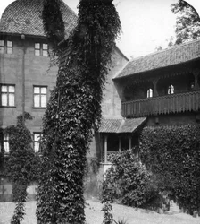 Tilleul dans une cour, Nuremberg, Bavière, Allemagne, vers 1900