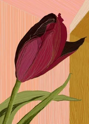 Le coin des tulipes cramoisies