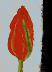 Fleur rouge éclatante