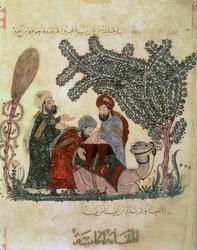 Abu Zayd, Al-Harrith, un chameau couché et une figure