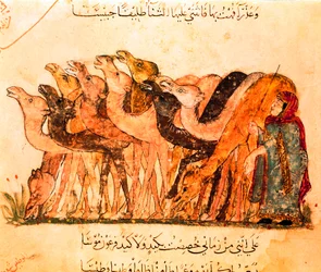 Un groupe de chameaux et le berger de chameaux, de "Maqamat"