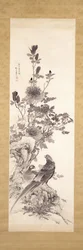 Pivoines et Faisans Dorés