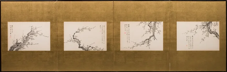 Fleurs de Prunus