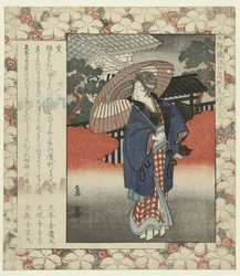 Sanglier : Shitaya
