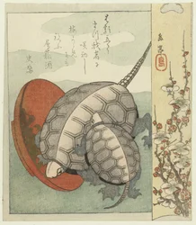 Tortues avec coupe de saké