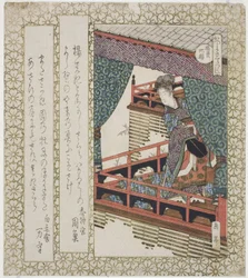 Le cerisier Yang Guifei, de la série "Cerisiers pour le cercle de Katsushika"