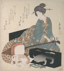 Femme accordant un shamisen et chat regardant son propre reflet