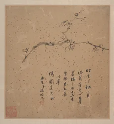 Prune à fleurs