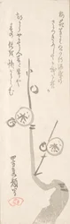 Fleurs de prunier