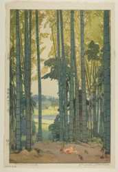 Forêt de bambous
