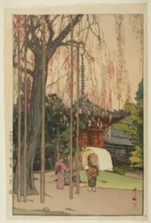 Le cerisier à Kawagoe