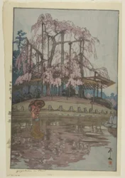 Yozakura sous la pluie