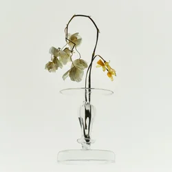 Nature morte : Beauté fanée