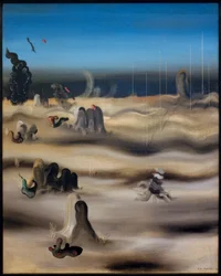 Terre de l