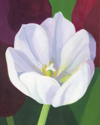 Élégante tulipe blanche
