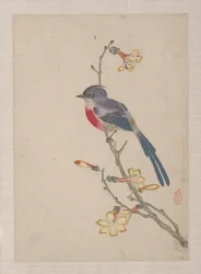 Oiseaux, insectes et fleurs