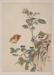 Oiseaux, insectes et fleurs