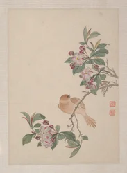 Oiseaux, insectes et fleurs
