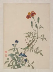 Oiseaux, insectes et fleurs