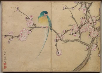 Album de Bureau : Peintures de Fleurs et d