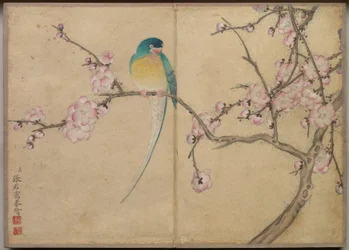 Album de bureau : Peintures de fleurs et d
