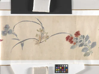 Fleurs colorées