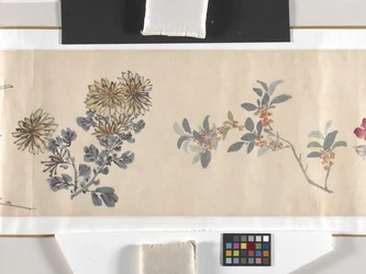 Fleurs colorées