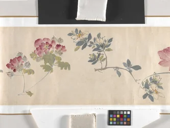 Fleurs colorées
