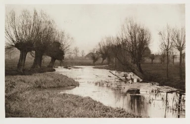Eaux stagnantes de la rivière Lea