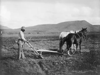 Indien labourant sa terre, Réserve indienne de Sacaton, Arizona, c.1909