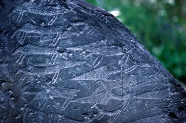 Gros plan des dessins rupestres dans le parc national de Naquane