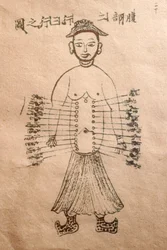 Musée de la Médecine Traditionnelle Vietnamienne, Les canaux et vaisseaux, Livre d