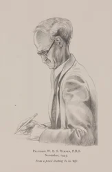 Professeur W E S Turner, novembre