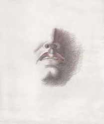 Étude pour le visage d