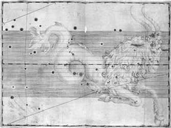 La constellation du Capricorne