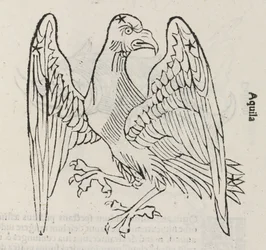 La constellation de l