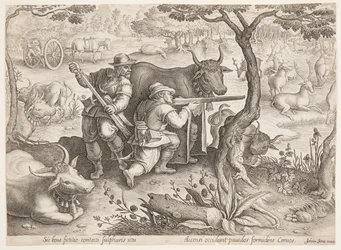 Chasse au cerf