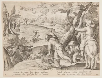 Chasse aux oiseaux